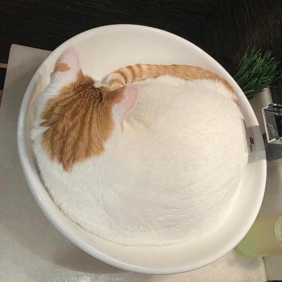 Meet your Posher, H - Picture 6 of 10